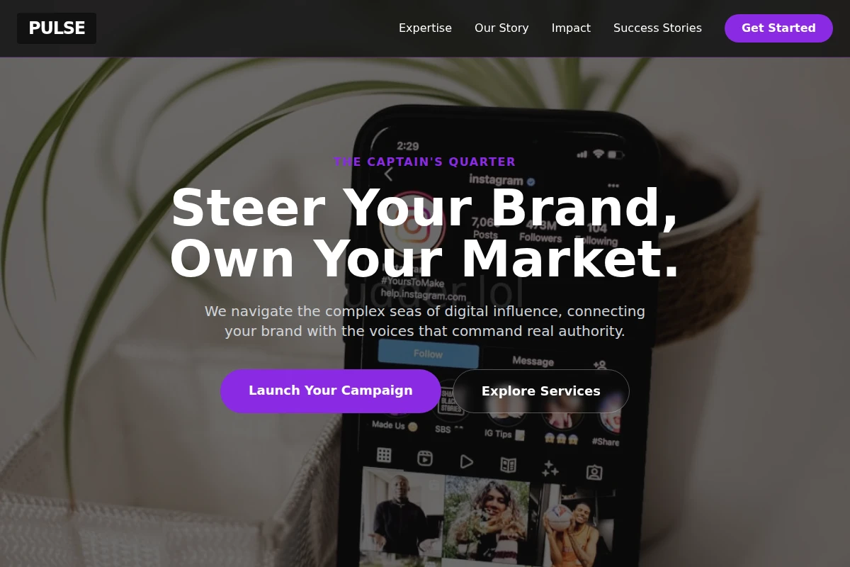 Pulse Influencer Marketing