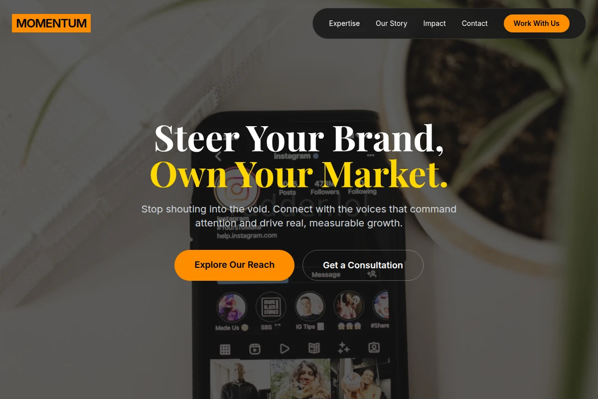 Momentum Influencer Marketing