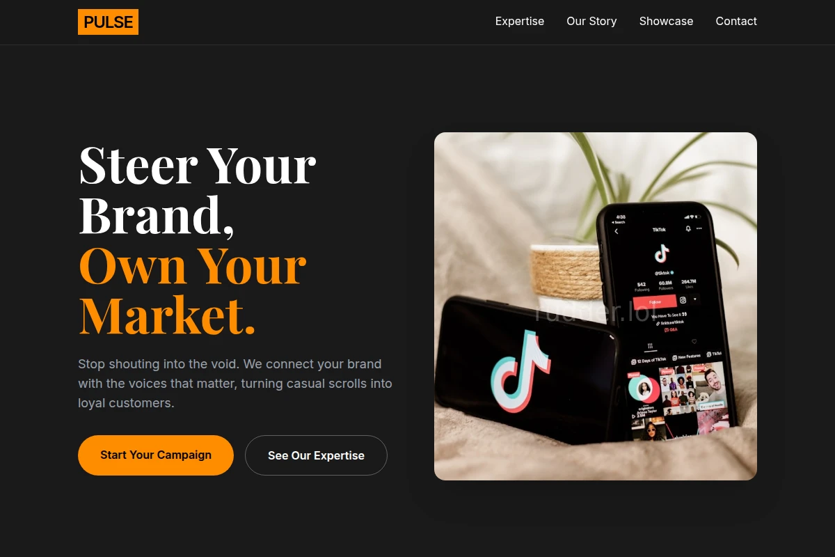 Pulse Influencer Marketing